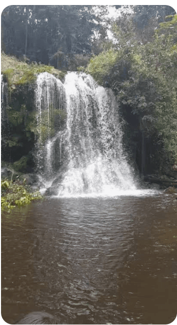 Visite des chutes d'Akiéni